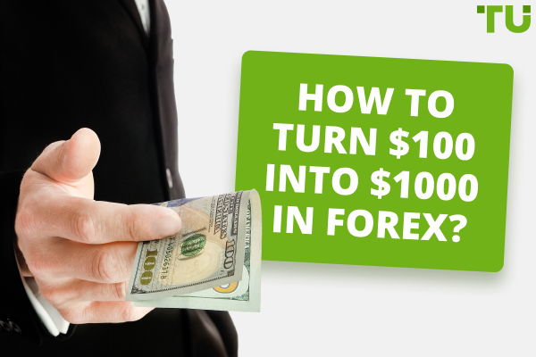 Best Forex Signals Providers in New Zealand for 2024
